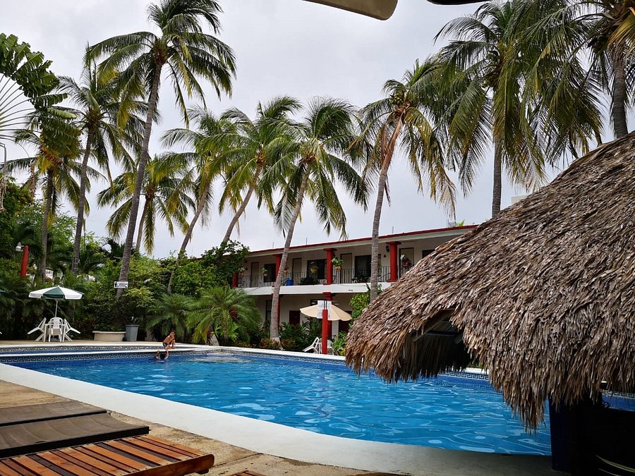 Hotel Albatros Updated 21 Prices Reviews And Photos Puerto Escondido Mexico Tripadvisor
