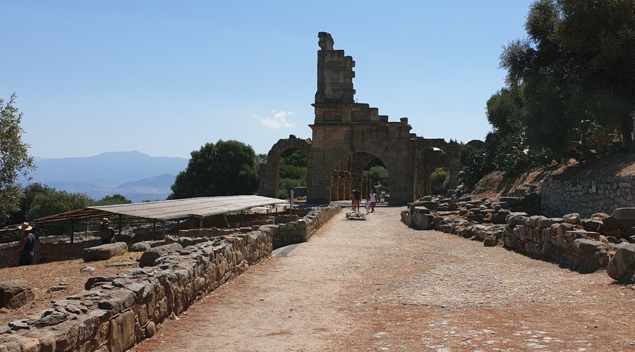 Panoramica dei resti