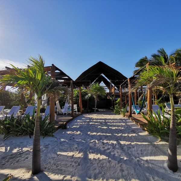 Pez Quadro Beach Club Mahahual 2022 Alles Wat U Moet Weten Voordat Je Gaat Tripadvisor