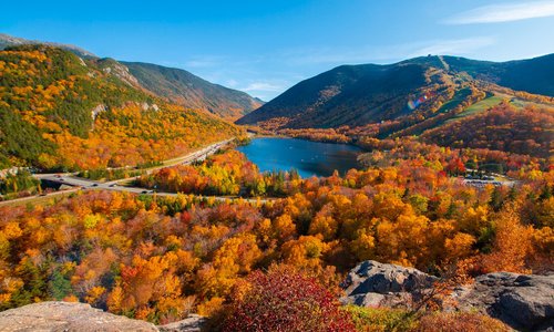 New England Foliage colors