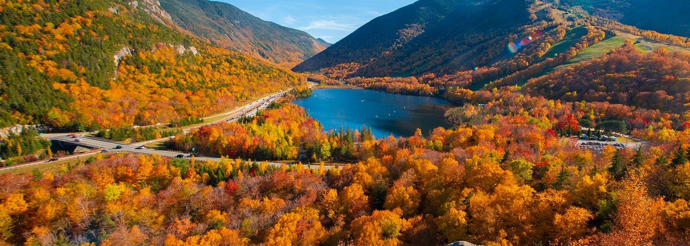 New England Foliage colors