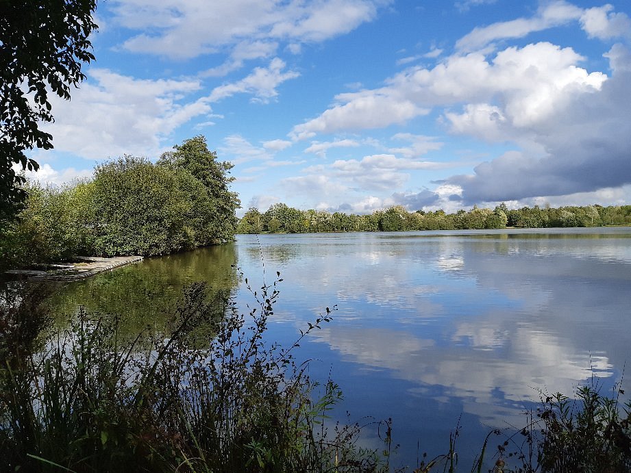 ETANGS D'APIGNÉ (Rennes): Ce qu'il faut savoir pour votre visite (avec  critiques)