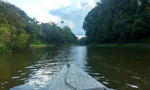 Puerto Narino, Colombia 2023: Best Places to Visit - Tripadvisor