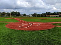 All-American Girls Professional Baseball League Display - Picture of The  History Museum, South Bend - Tripadvisor