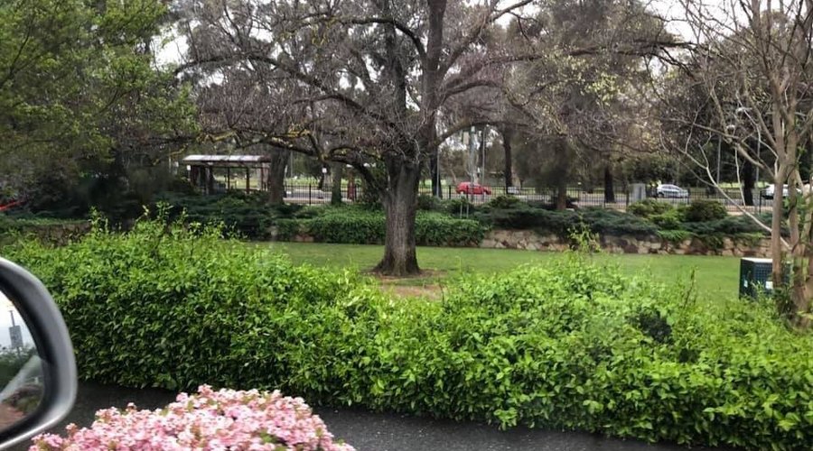 Veale Gardens