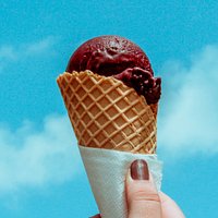 Você sabia que as nossas casquinhas são todas veganas? Seja com gelato ou sorbetto a felicidade é instantânea. 💛