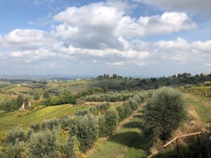Camera e suite