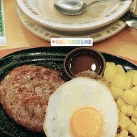 beef hamburg & mushroom soup