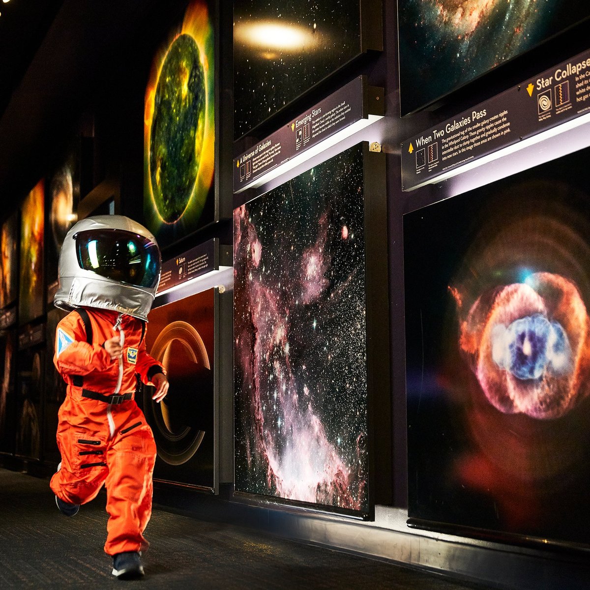 Museum of Science, Бостон: лучшие советы перед посещением - Tripadvisor