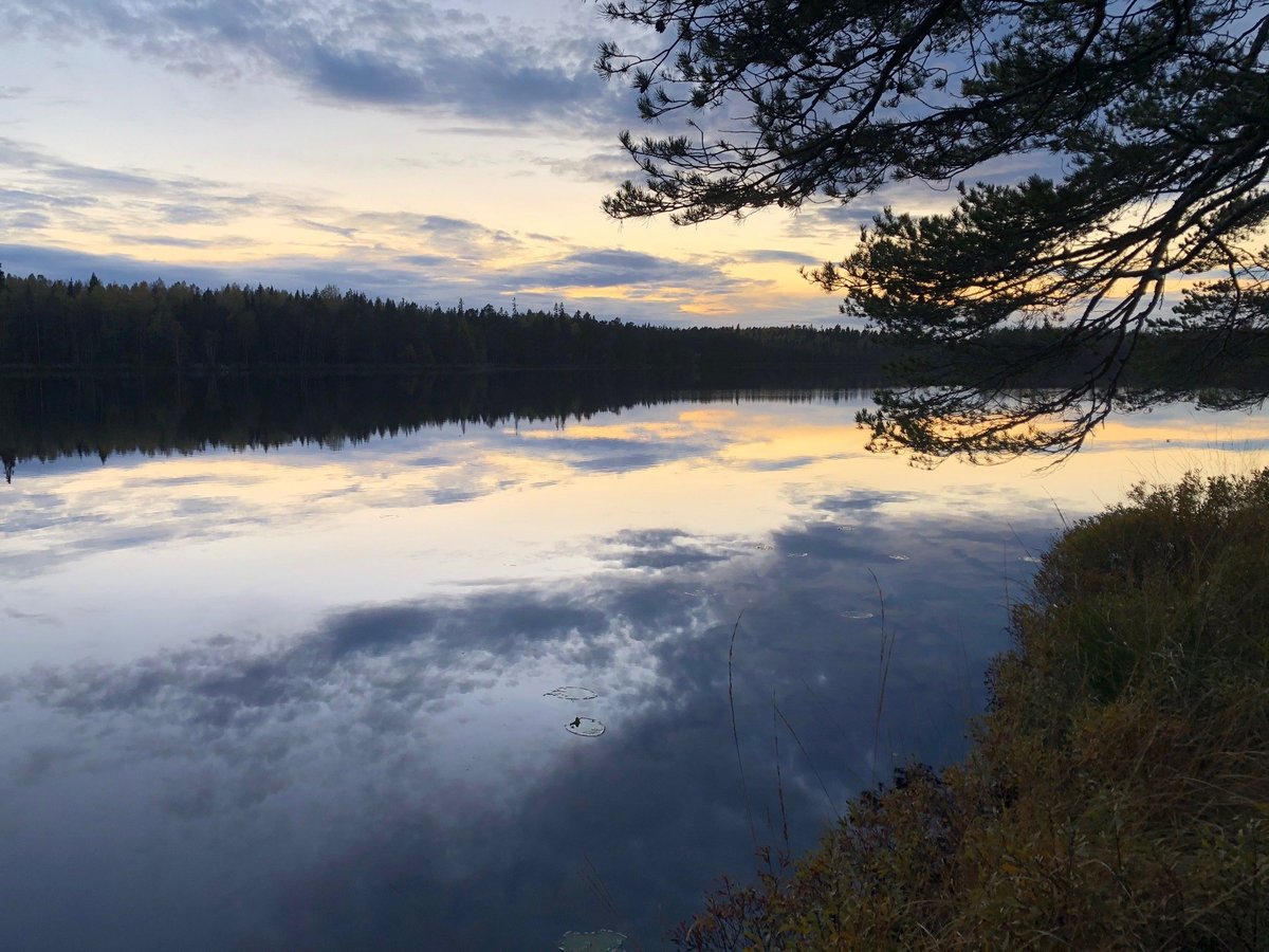 Naturreservatet Florarna (Oesterbybruk): All You Need to Know