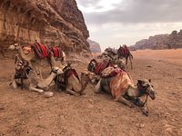 Deserto com areia movediça - Avaliações de viajantes - Wadi Araba Desert -  Tripadvisor