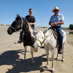 12+ Horse stables yuma az information