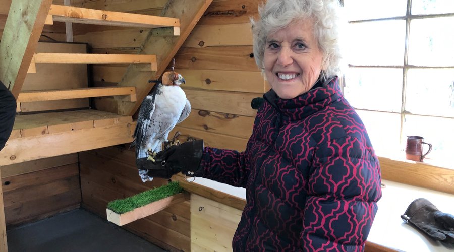 Gyrfalcon (hooded) and a guest in the education building