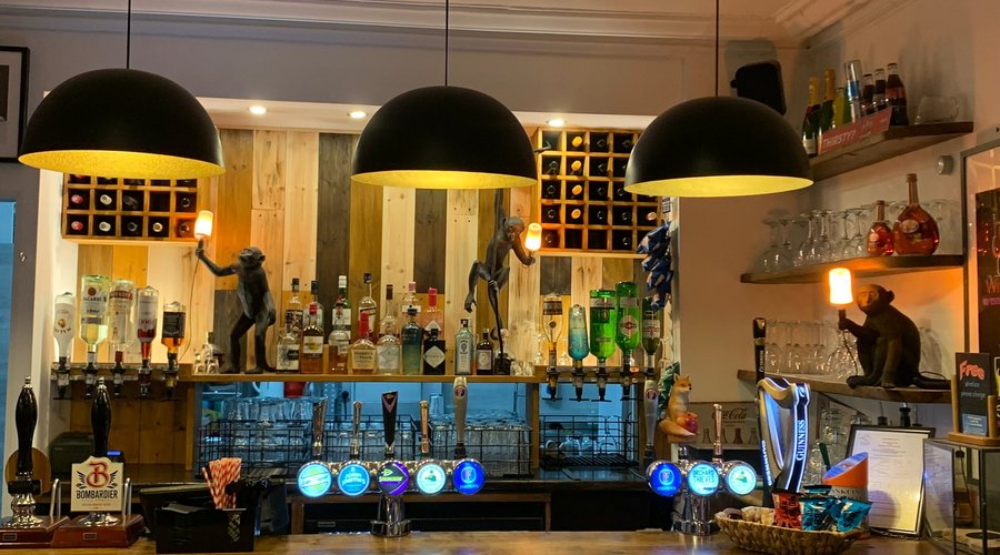 Jungle bar