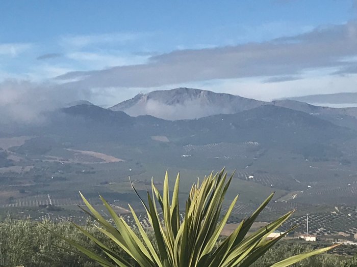 Imagen 25 de Cortijo de la Hoja