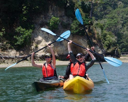 Os Melhores Pontos Turísticos Em Marshall 2024 Tripadvisor 8350