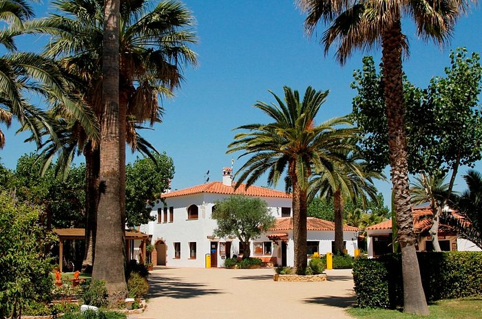 iets Tegenwerken knoflook CAMPING LAS PALMERAS - COSTA BRAVA - Campground Reviews (Sant Pere Pescador, Spain) iets Tegenwerken knoflook CAMPING LAS PALMERAS - COSTA BRAVA - Campground Reviews (Sant Pere Pescador, Spain)