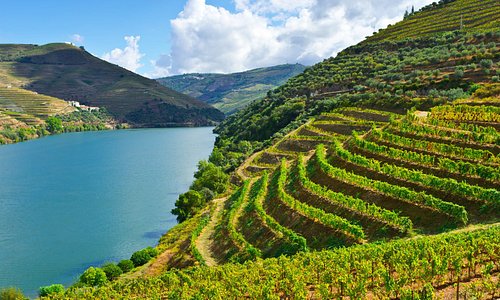 Food & Wine Experience - Douro Valley