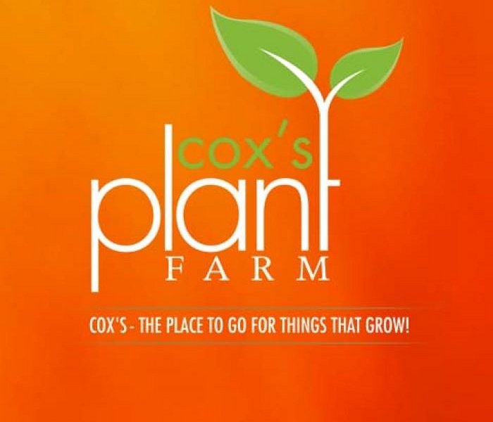 Cox's Plant Farm image