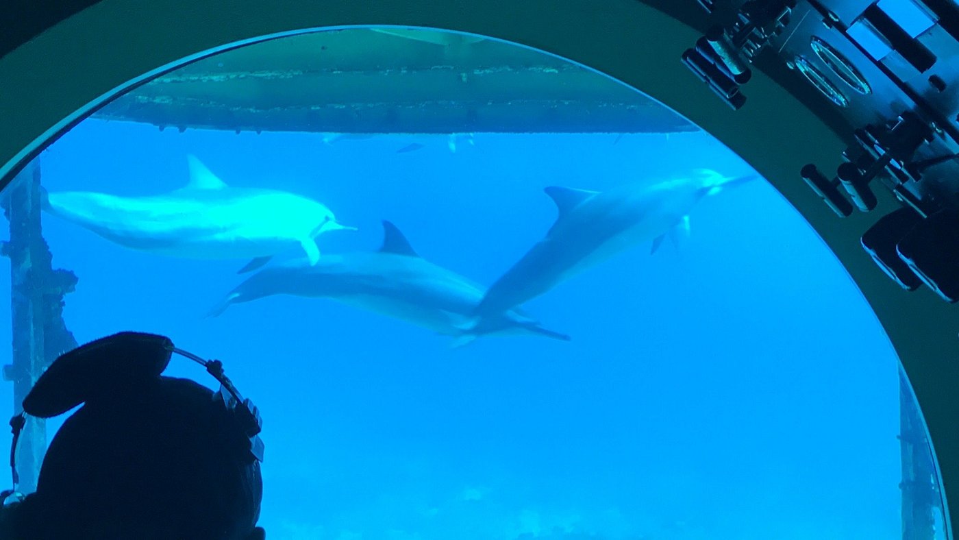 10 esempi di turismo sostenibile 17 Atlantis submarines experience - Hawaii