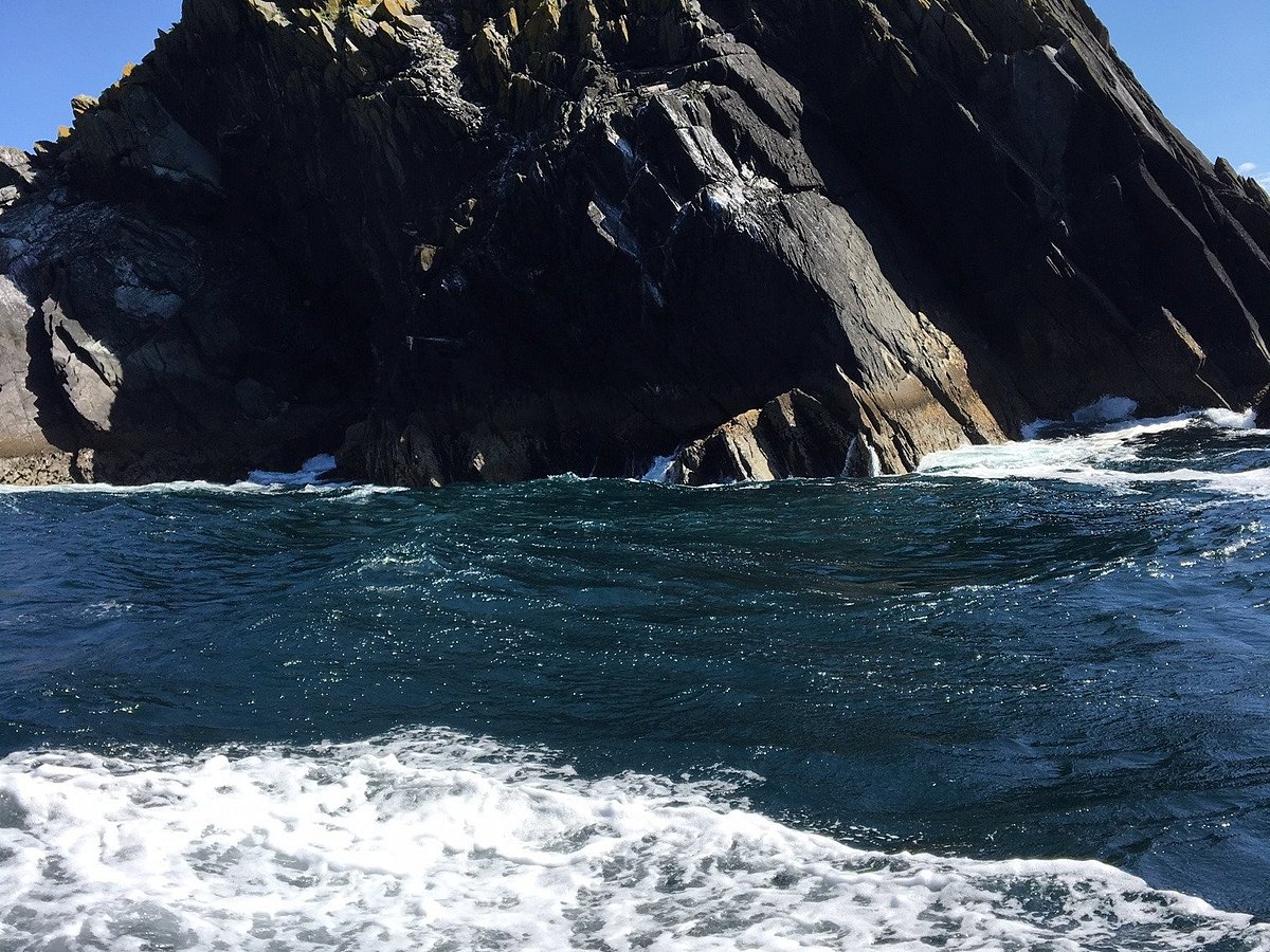 blasket islands boat trips