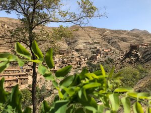 الإطلالة من الغرفة