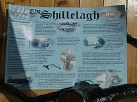 Shillelaghs and Shenanigans 2 - Combat Shillelagh