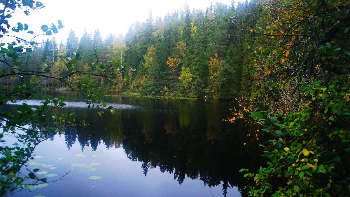 Зимний отдых с любимым - отзыв о Сеурахуоне, Сортавала, Россия - Tripadvisor