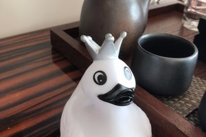 여행자 사진