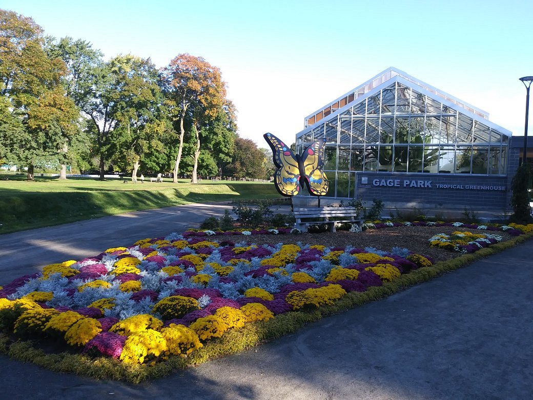 Gage Park Location