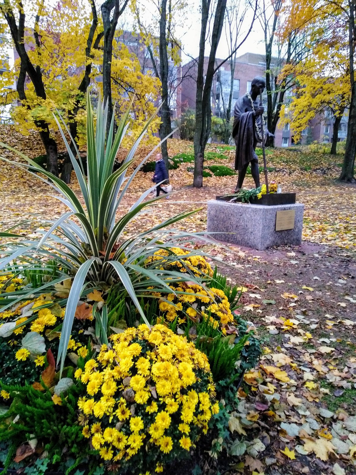 Statue of Mahatma Gandhi (Helsinki) - All You Need to Know BEFORE You Go