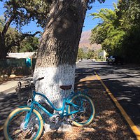 My electric BokuBike! Really easy to ride, and the battery lasted for my entire trip.