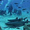 JuanPablo-SmartGalapagos