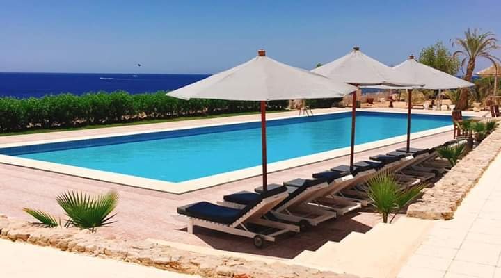 Our swimming pool