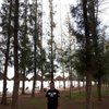 Shamil Y