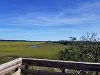 Conservation Landing