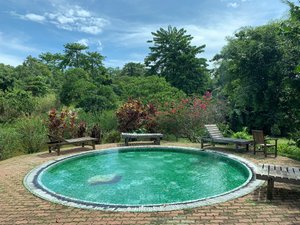 Sepilok Forest Edge Resort in Sepilok, image may contain: Backyard, Resort, Hotel, Garden