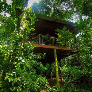 Tree house where one can enjoy the biodiversity of Monsoon retreats, especially the birds