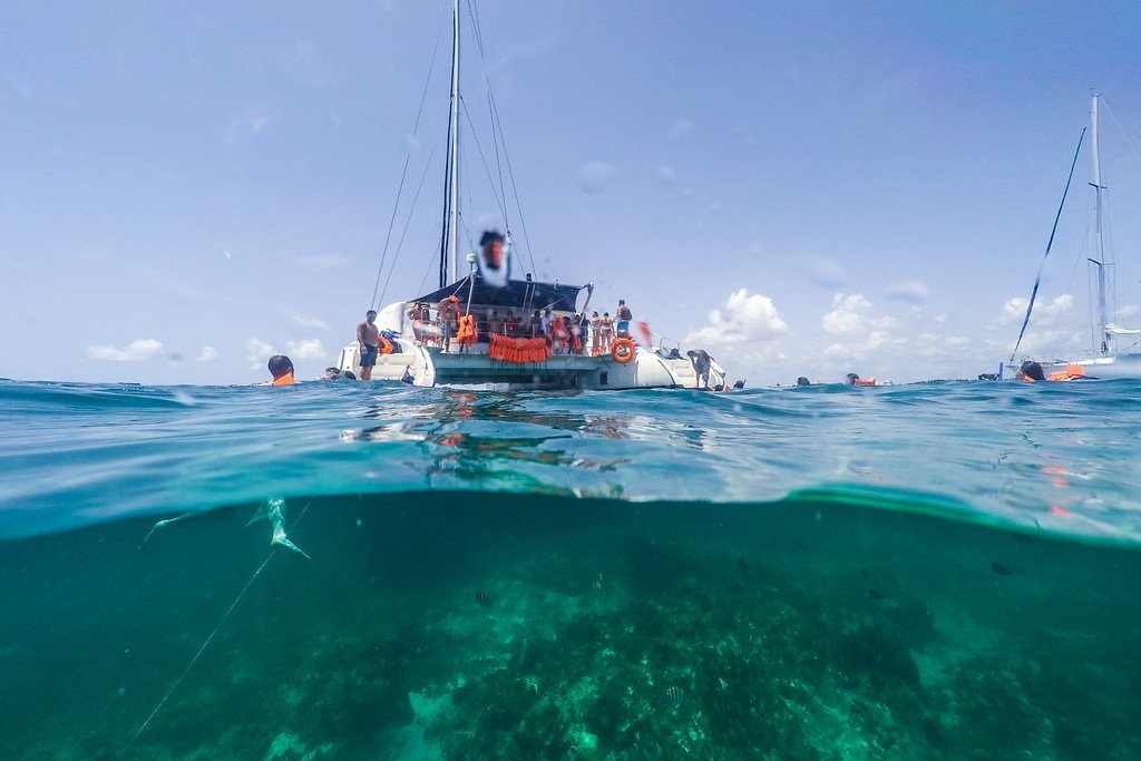 cancun bay tours playa del carmen