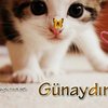 havva durmaz