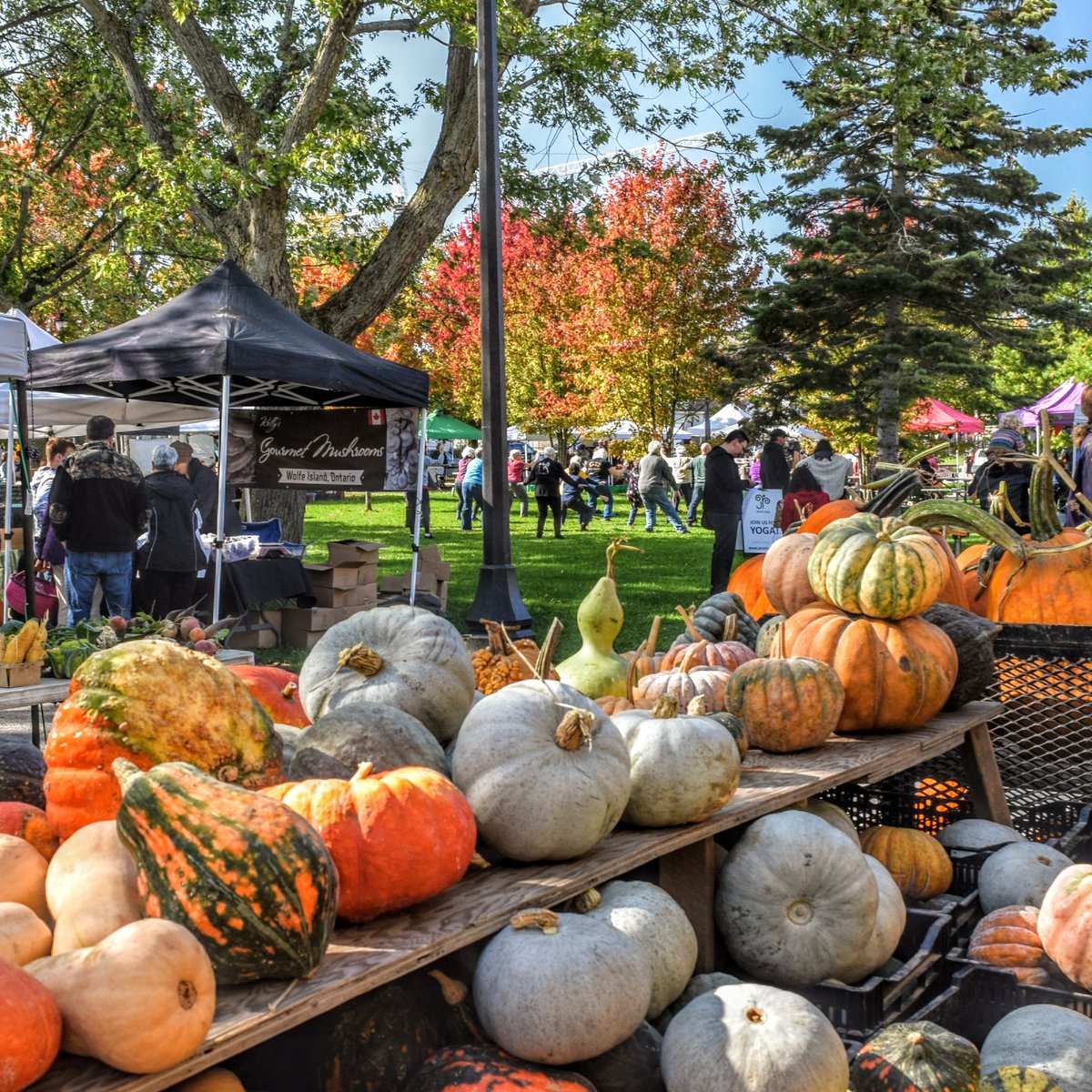 Memorial Centre Farmers' Market (Kingston, Ontario): Hours, Address ...