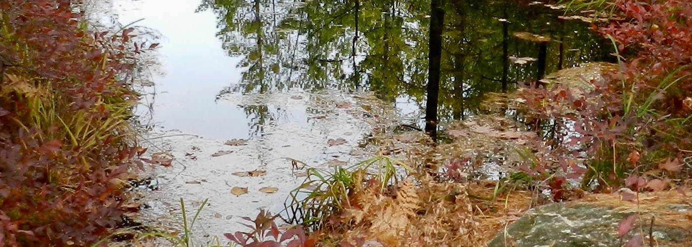 Water pools on the Rock from recent rainfalls