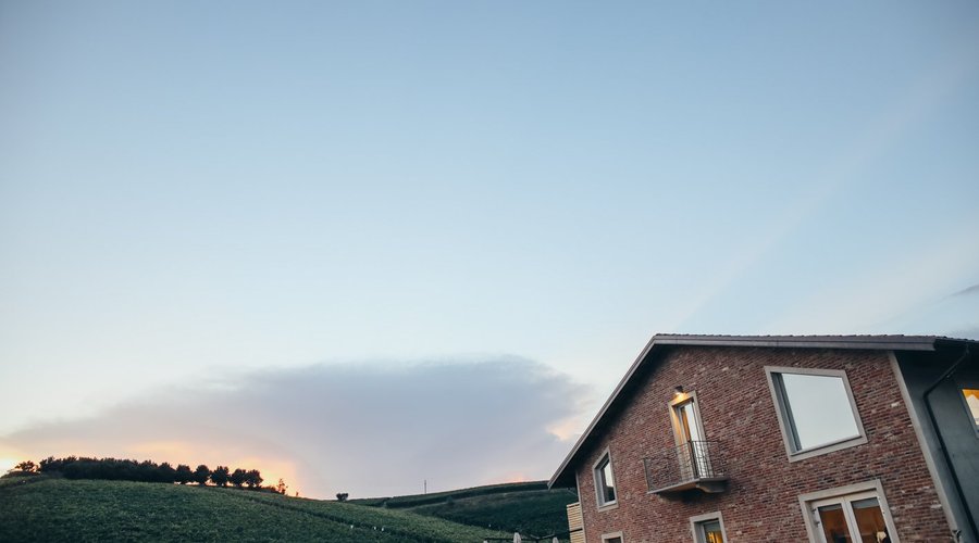 Le nostre vigne fanno da sfondo alla Merenderia
