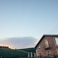 Le nostre vigne fanno da sfondo alla Merenderia