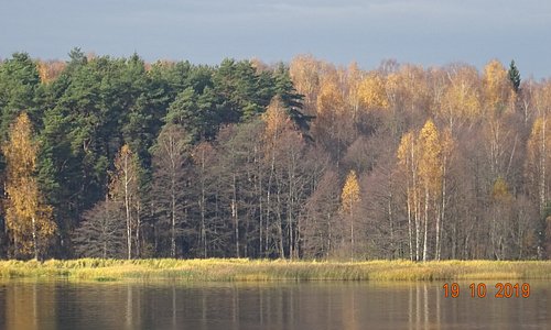 Тверская область. Река Волга, с борта теплохода "Лунная соната". 19 октября 2019 года