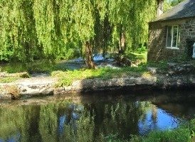 Repos au bord de l'eau sans se déplacer