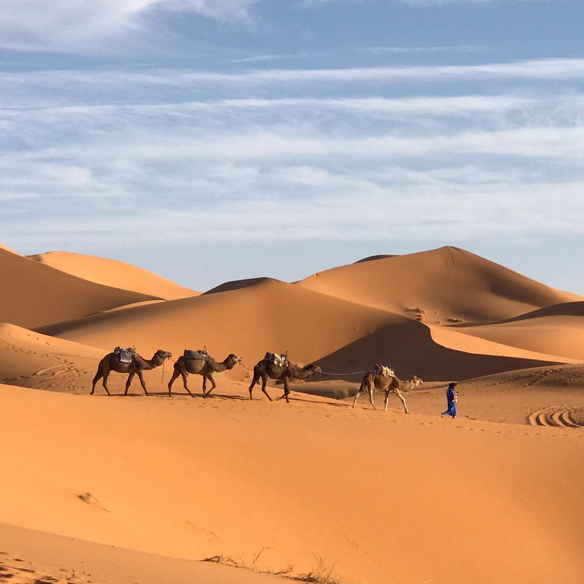 Vacanze Nel Deserto