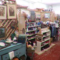 Black Dog Antiques (Anaconda): All You Need to Know