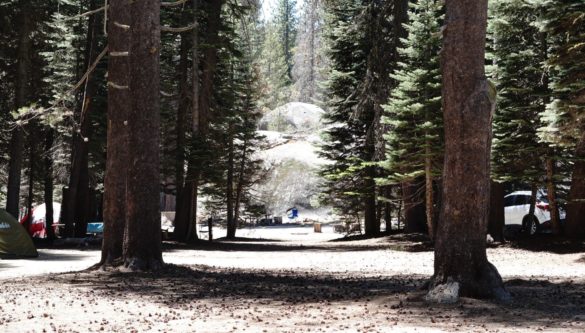 Tamarack Flat Campground by null