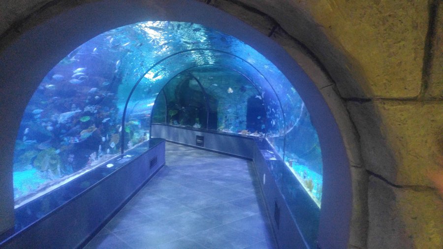 Bandar-e Anzali Aquariums tunnel آکواریوم بندر انزلی